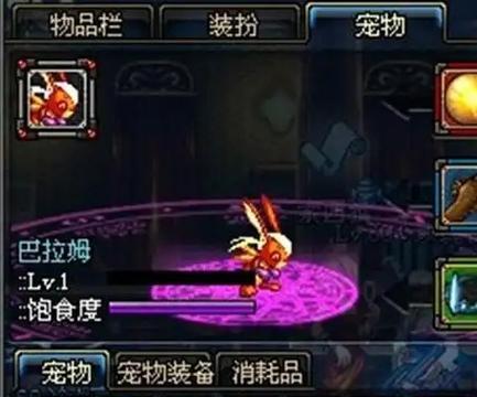 地下城中购买哪种宠物最划算？选择宠物的建议是什么？
