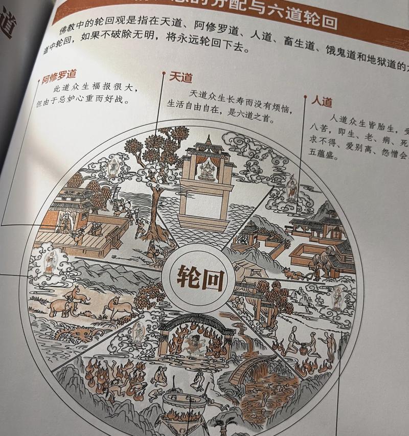 完美世界中的6道轮回有何含义？如何触发？
